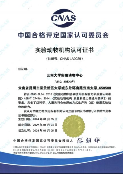 【云南】云南大學(xué)實(shí)驗(yàn)動(dòng)物中心順利通過CNAS實(shí)驗(yàn)動(dòng)物機(jī)構(gòu)認(rèn)可