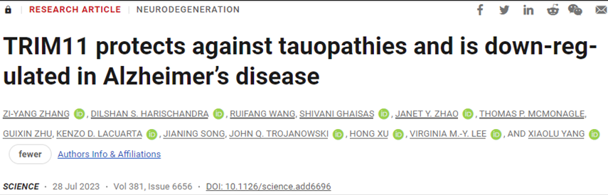 Science：發現TRIM11蛋白是開發阿爾茨海默病治療方法的一種有希望的靶標