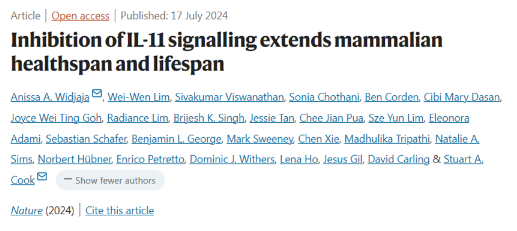 Nature：研究發現IL-11是衰老的關鍵驅動因素，抑制IL-11信號傳導可延長哺乳動物的健康壽命和壽命