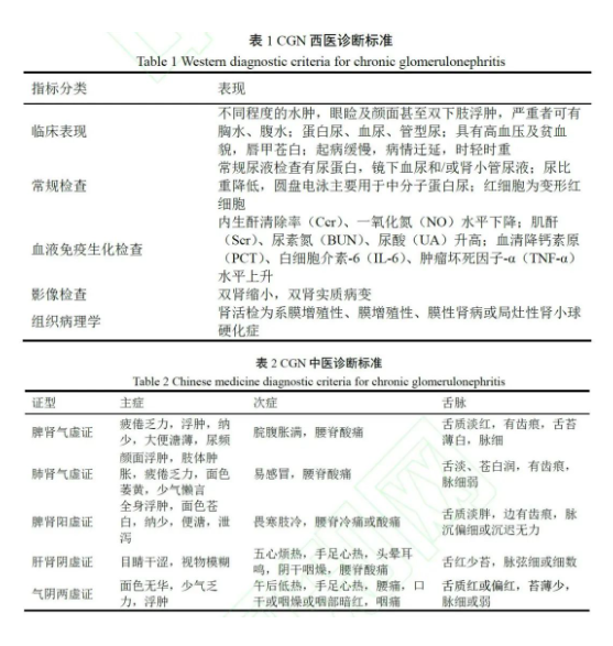《基于中西醫(yī)病證特點(diǎn)的慢性腎小球腎炎動(dòng)物模型的臨床吻合度分析》網(wǎng)絡(luò)首發(fā)內(nèi)容導(dǎo)讀