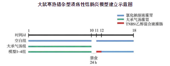 寒熱錯(cuò)雜型潰瘍性結(jié)腸炎大鼠模型建立方法簡介