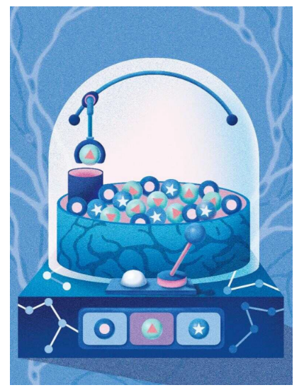 獼猴額葉皮層對序列工作記憶的靈活控制