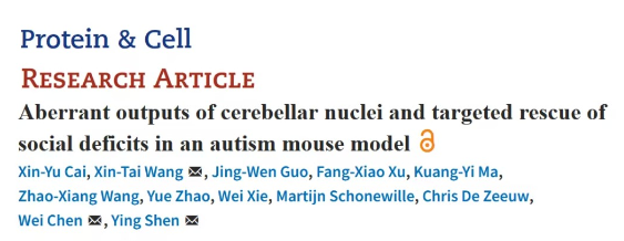Protein&Cell：沈穎團隊發現孤獨癥小鼠小腦功能性投射改變對社交行為的影響